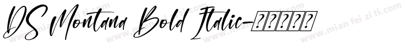 DS Montana Bold Italic字体转换